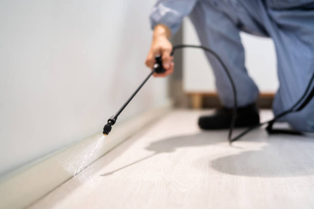 Licensed Pest Control service in Waverly, VA - Show Me Pest Control